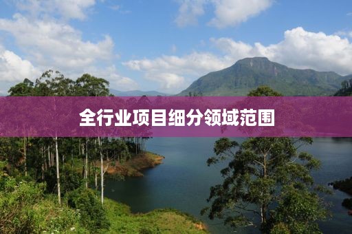 全行业项目细分领域范围
