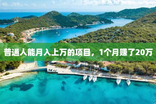 普通人能月入上万的项目，1个月赚了20万