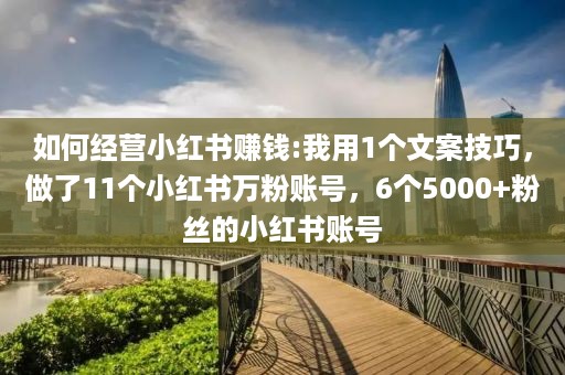 如何经营小红书赚钱:我用1个文案技巧，做了11个小红书万粉账号，6个5000+粉丝的小红书账号